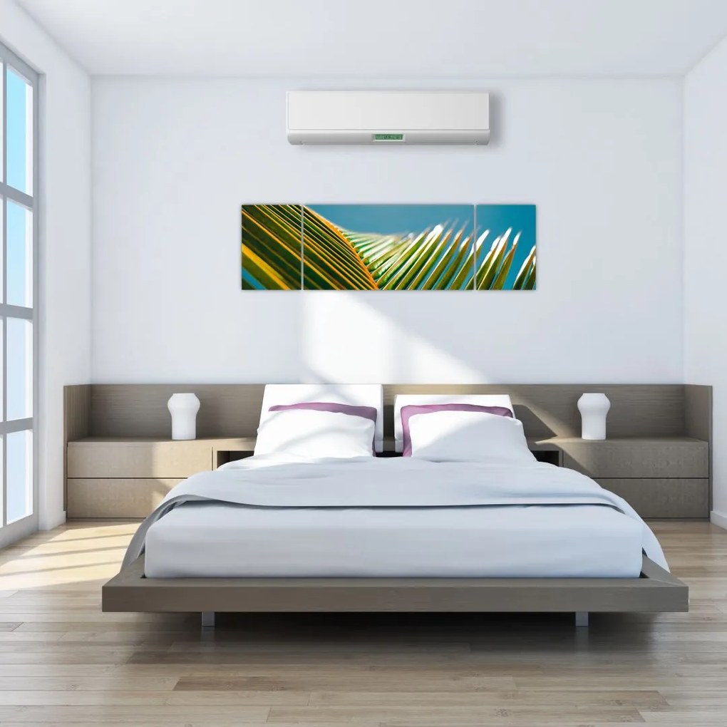 Obraz - Detal liścia palmowego (170x50 cm)