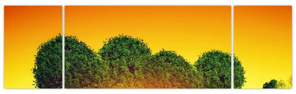 Obraz - Serce w koronach drzew (170x50 cm)