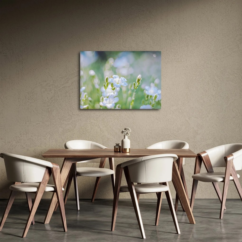 Obraz - Delikatne kwiaty (70x50 cm)
