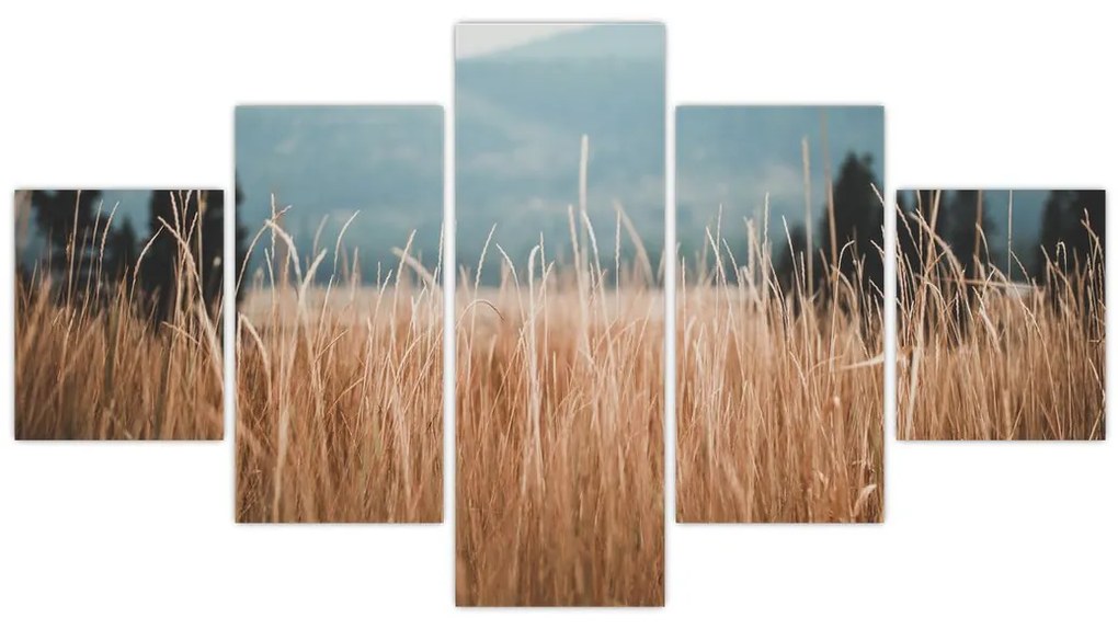Obraz - szczegół łąki (125x70 cm)