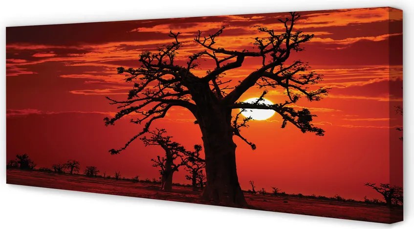 Obraz canvas na ścianę Drzewa i Chmury