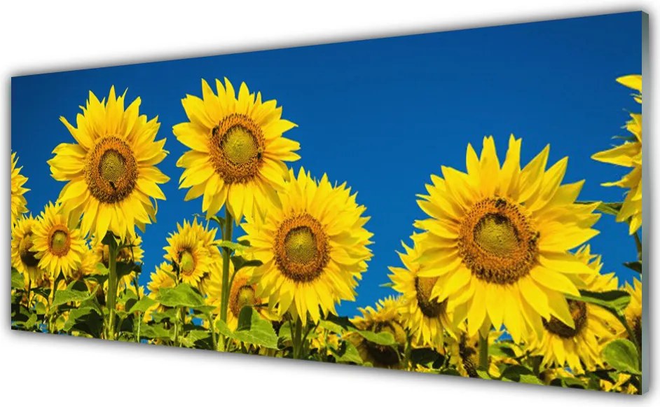 Szkło do Kuchni na Ścianę Radosne Pole Słoneczników