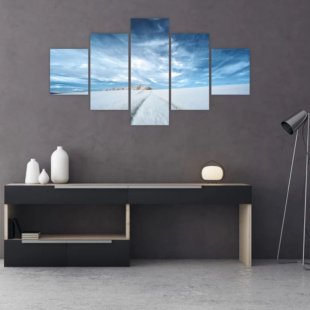 Obraz pola (125x70 cm)