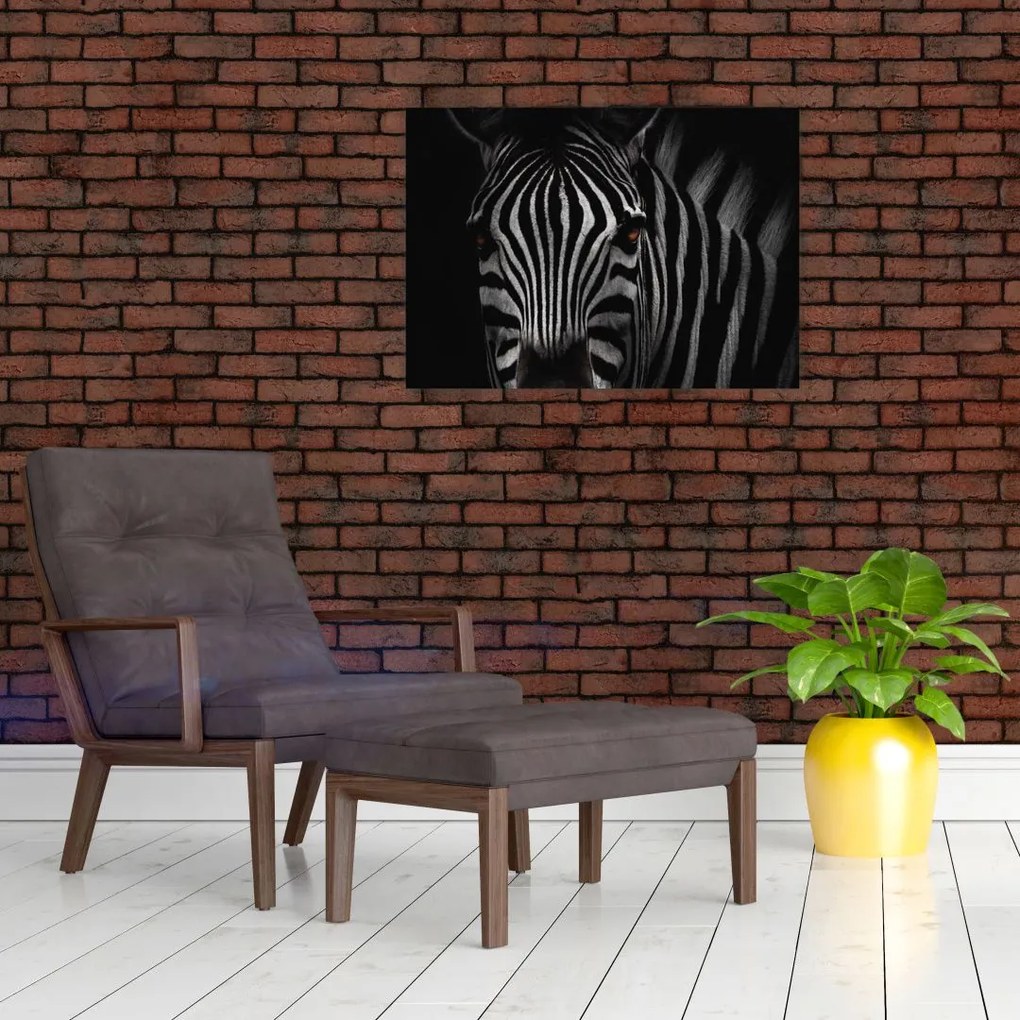 Obraz na szkle zebry (70x50 cm)