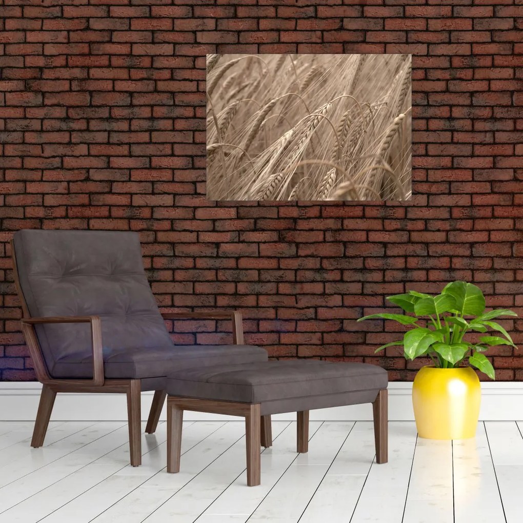 Obraz - Złote pole (70x50 cm)
