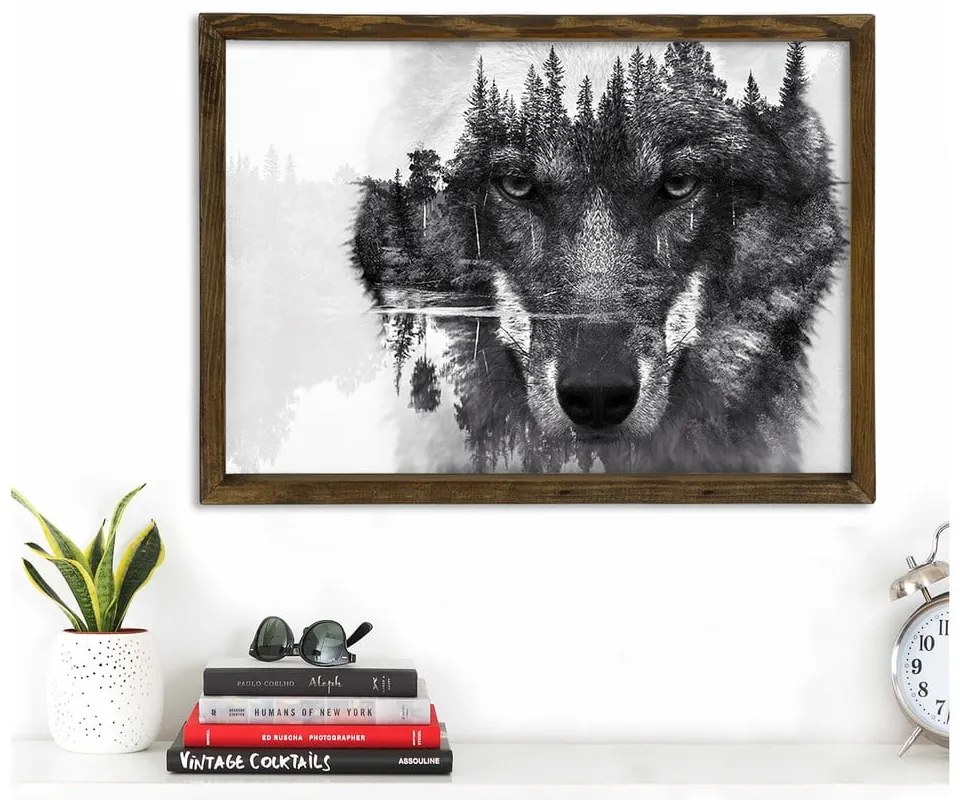 Obraz Husky, 70x50 cm
