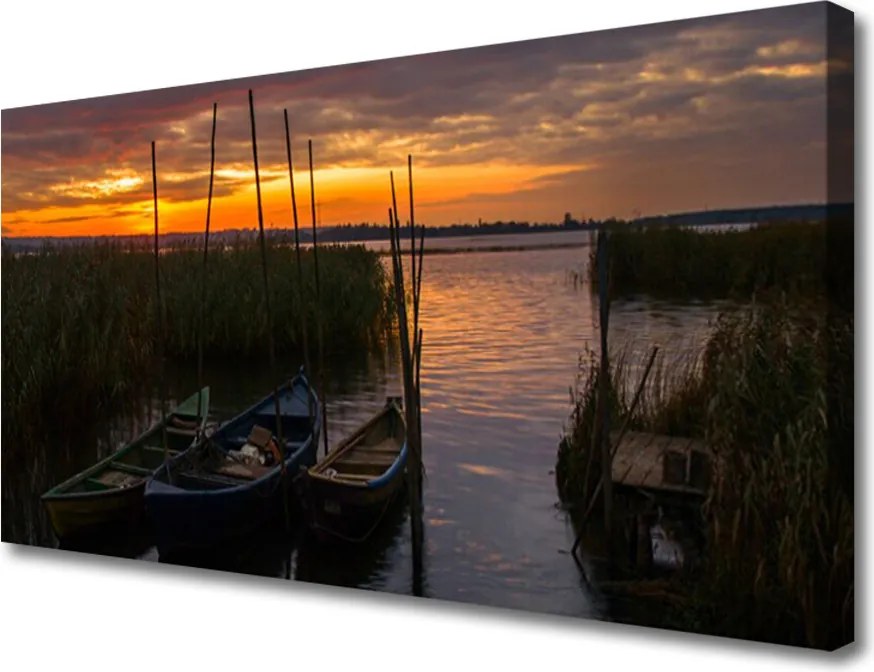 Obraz canvas Łodzie na Trawiastym Brzegu