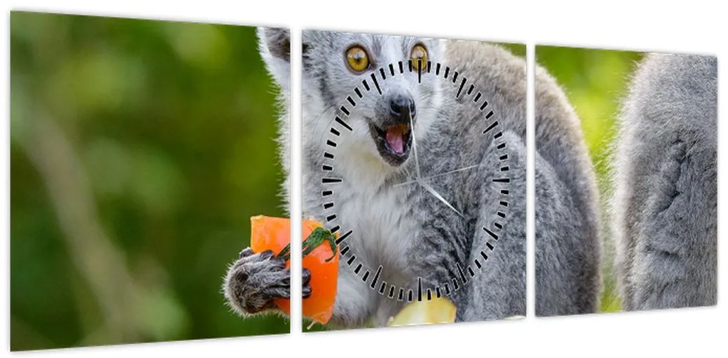 Obraz lemura (z zegarem) (90x30 cm)
