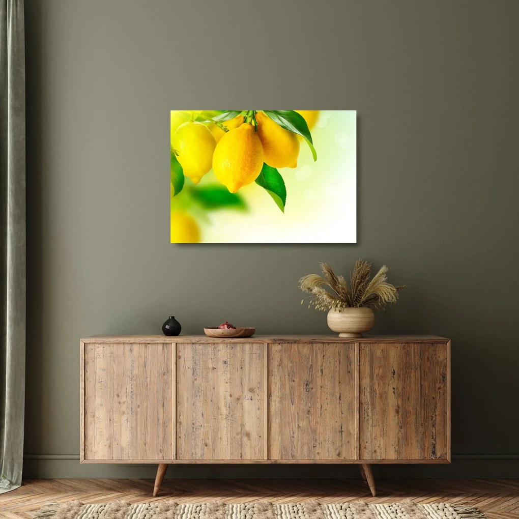 Obraz na szkle cytryn (70x50 cm)