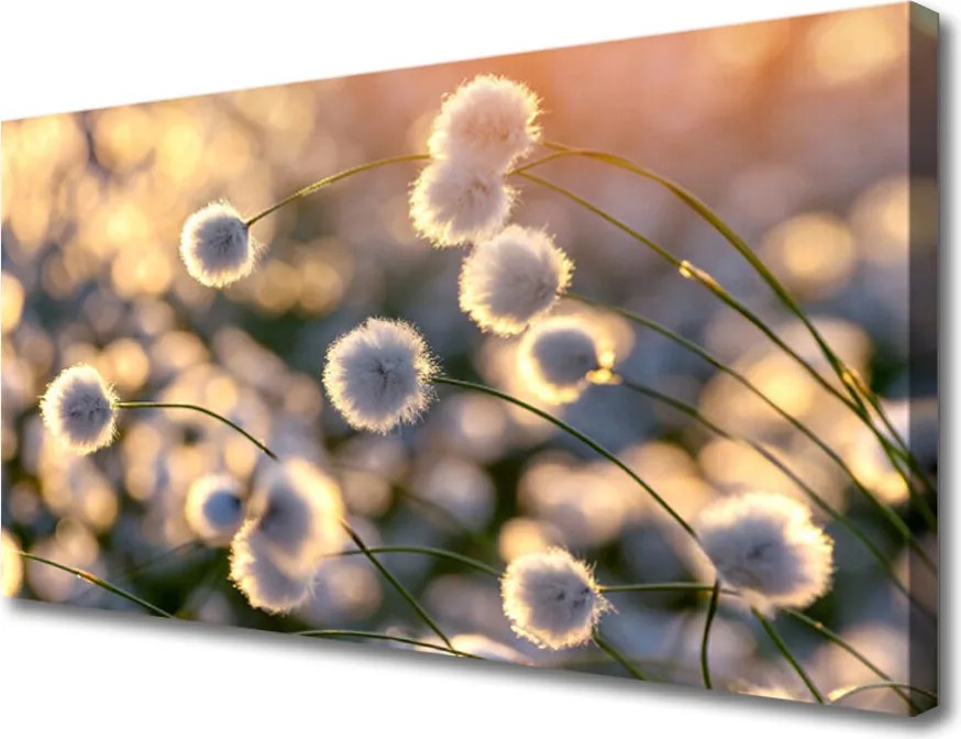 Obraz canvas Urokliwa Flora Ogrodowa