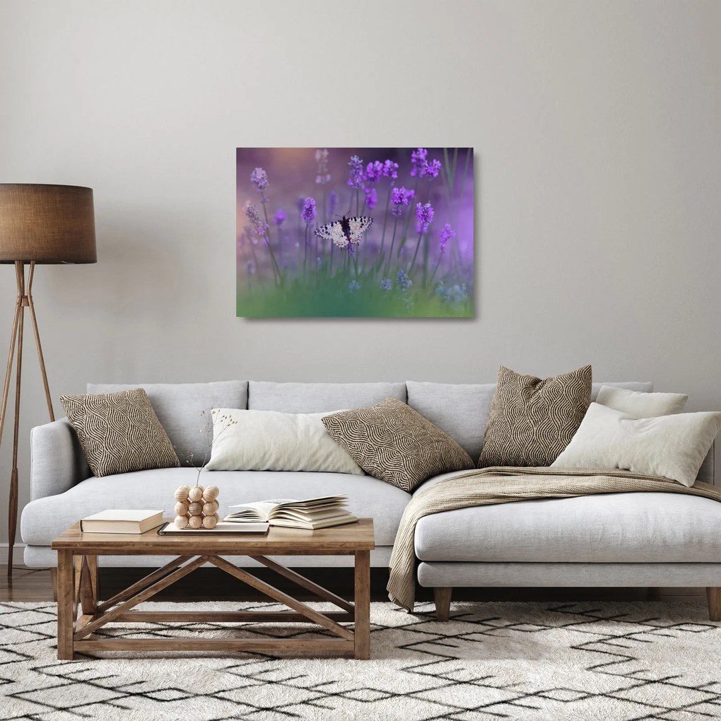 Obraz na szkle - Motyl w lawendach (70x50 cm)