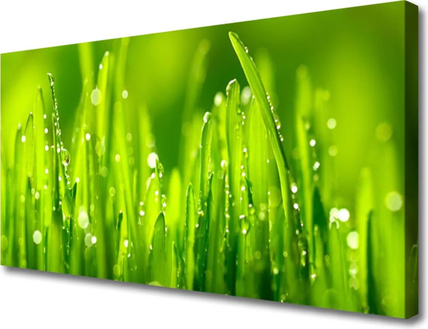 Obraz canvas Drewniany Pomost o Zmierzchu