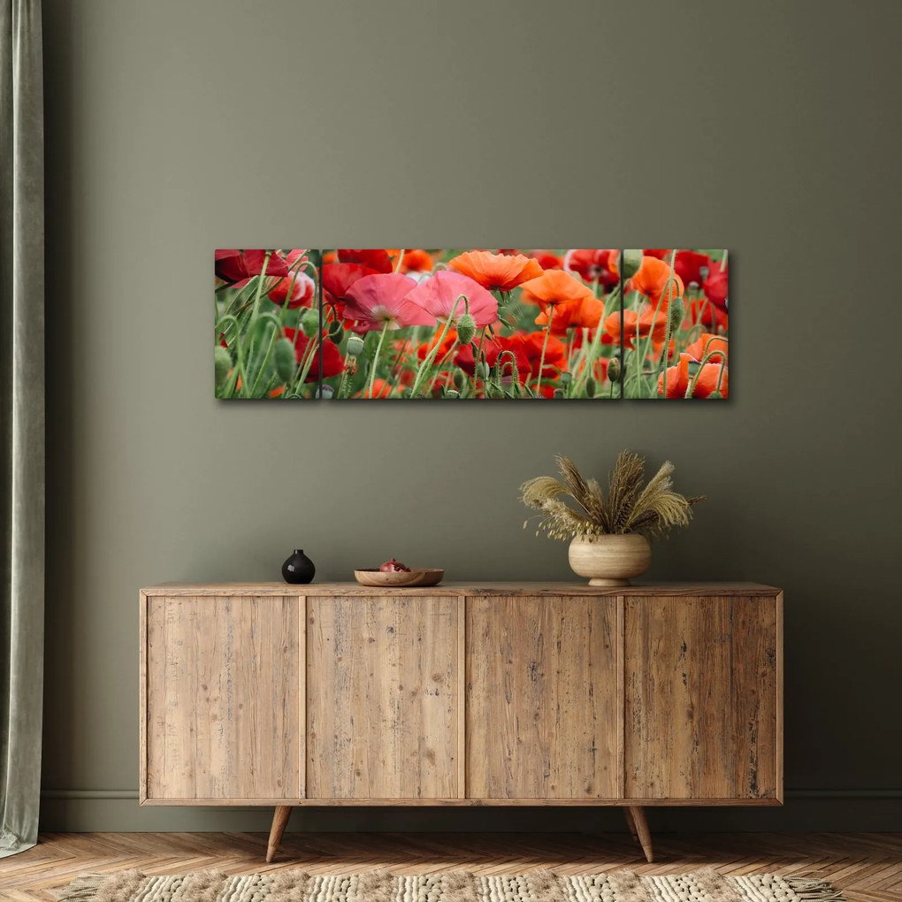 Obraz pola maków (170x50 cm)