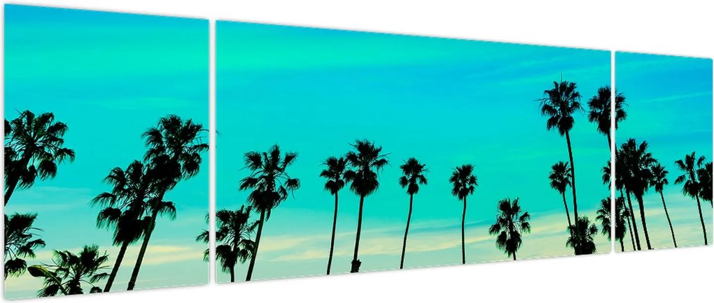 Obraz - Kalifornia (170x50 cm)