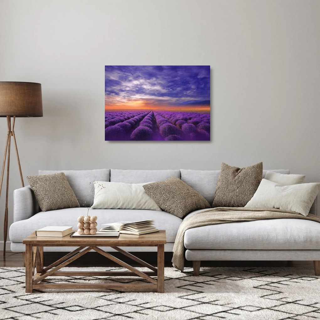 Obraz na szkle lawendowego pola (70x50 cm)