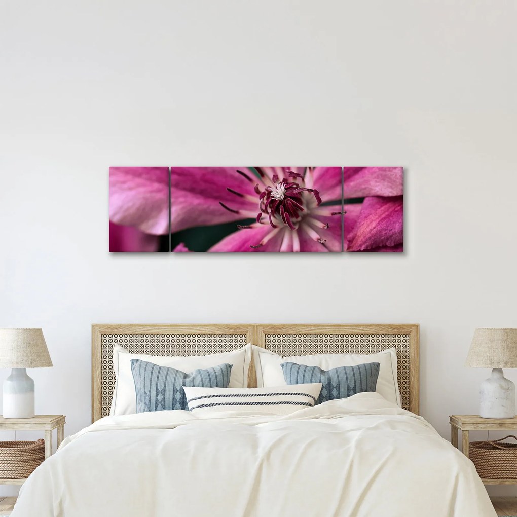 Obraz różowego kwiatu powojnika (170x50 cm)