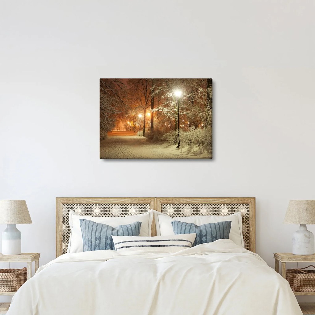 Obraz - Zaśnieżony park (70x50 cm)