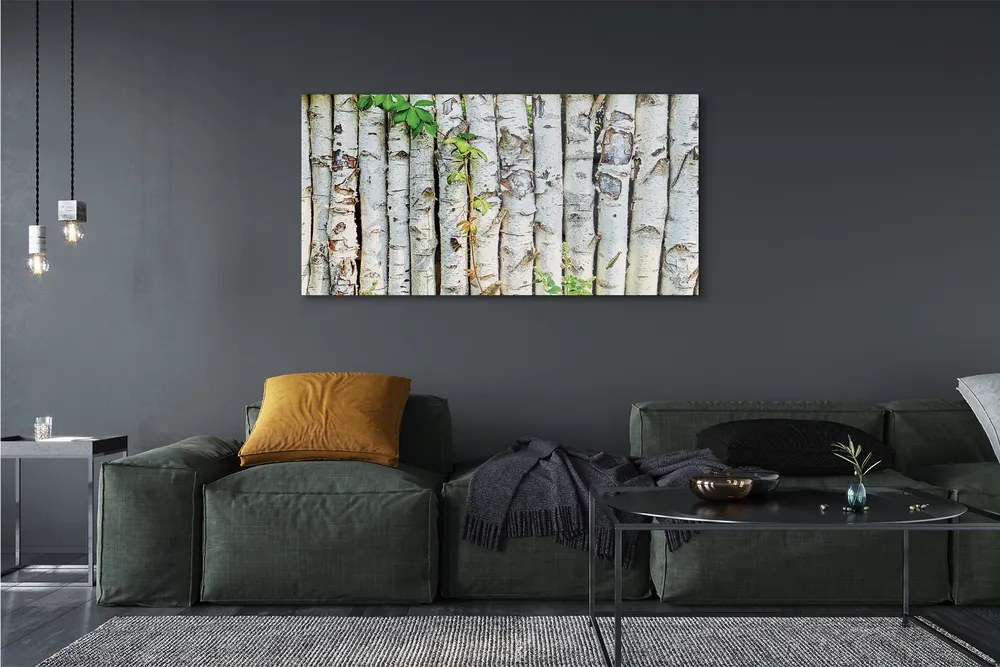 Obraz na płótnie Liście Brzozy