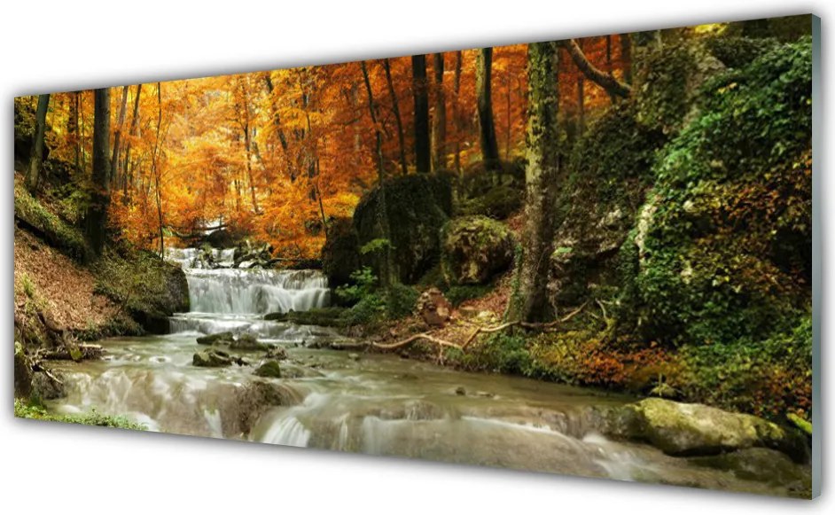 Panel Szklany Ukryty Wodospad w Gęstwinie