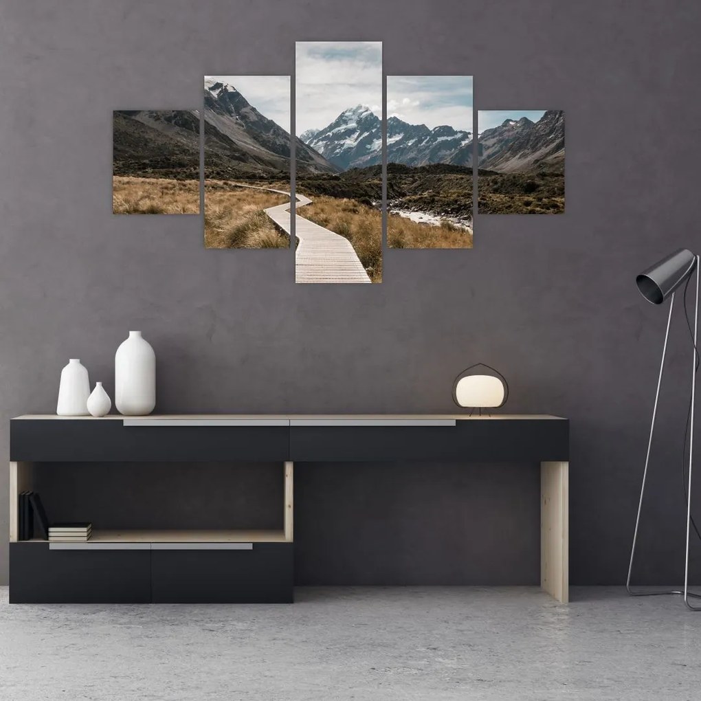 Obraz - Chodnik w dolinie góry Mt. Cook (125x70 cm)