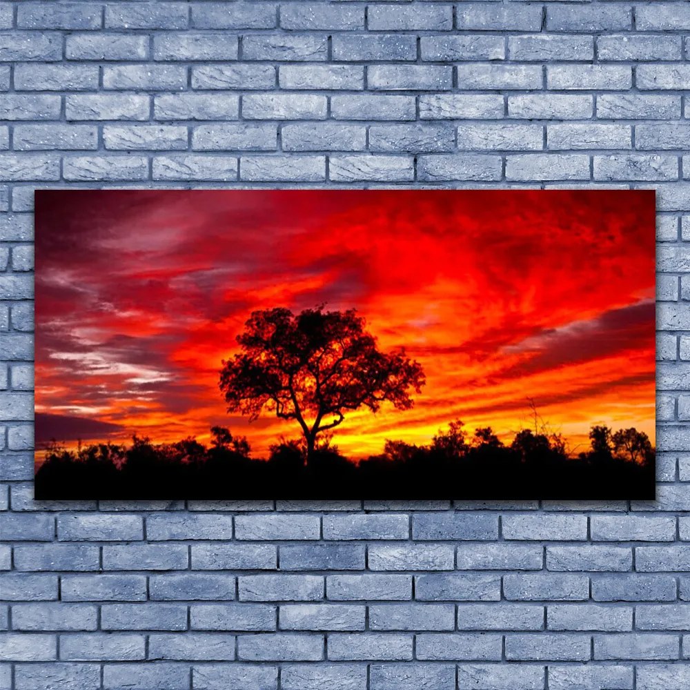 Obraz canvas na ścianę Głusza Leśnej Natury