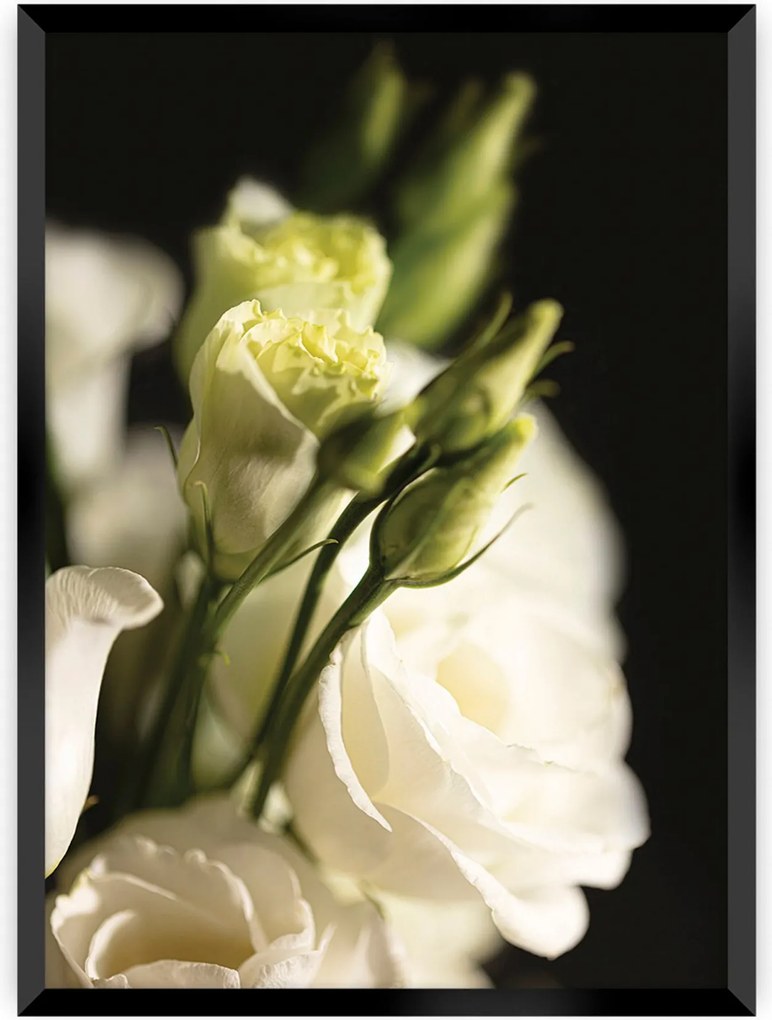Plakat Dark Flowers I