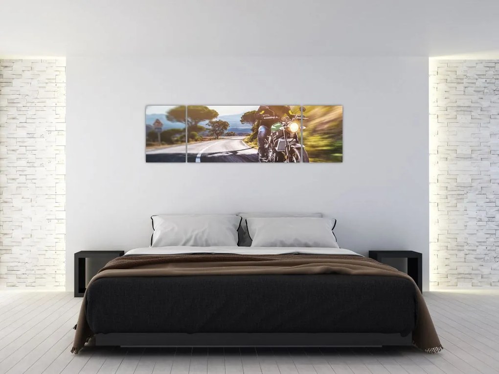 Obraz - Motocyklista (170x50 cm)