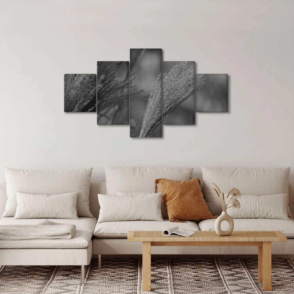 Obraz - Suszona trawa pampasowa (125x70 cm)