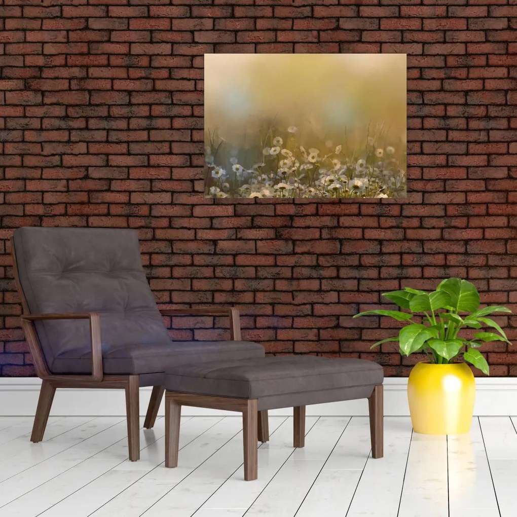 Obraz - Obraz olejny stokrotek (70x50 cm)