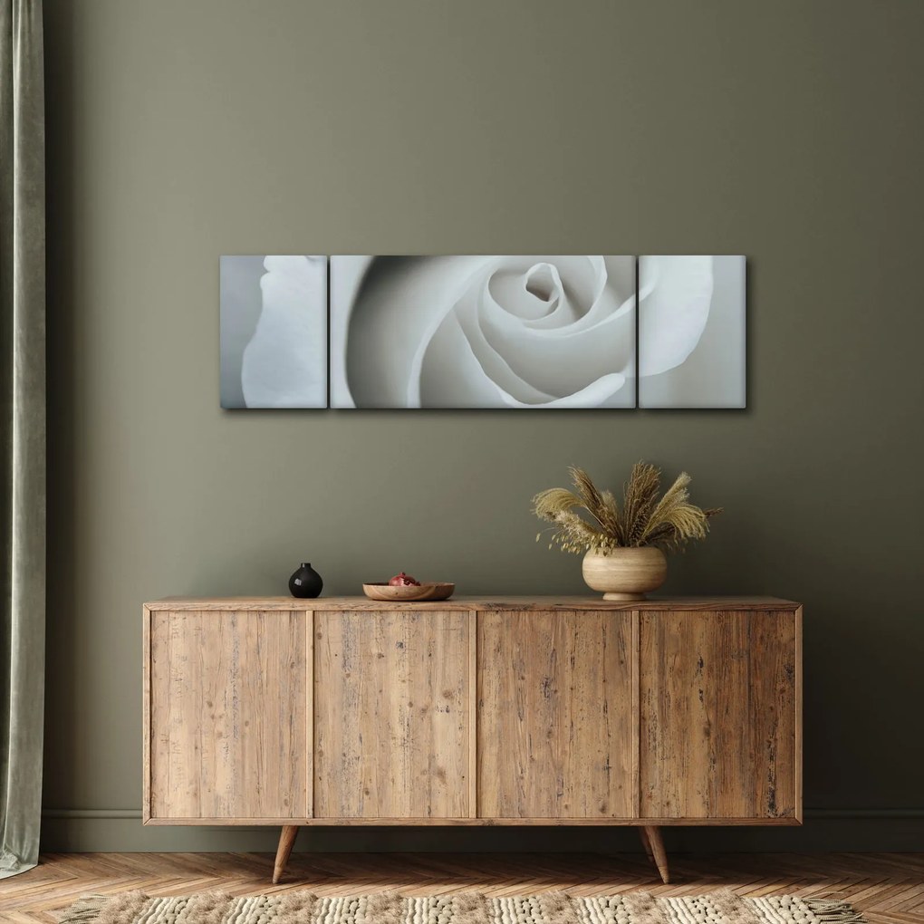 Obraz - Biała róża (170x50 cm)
