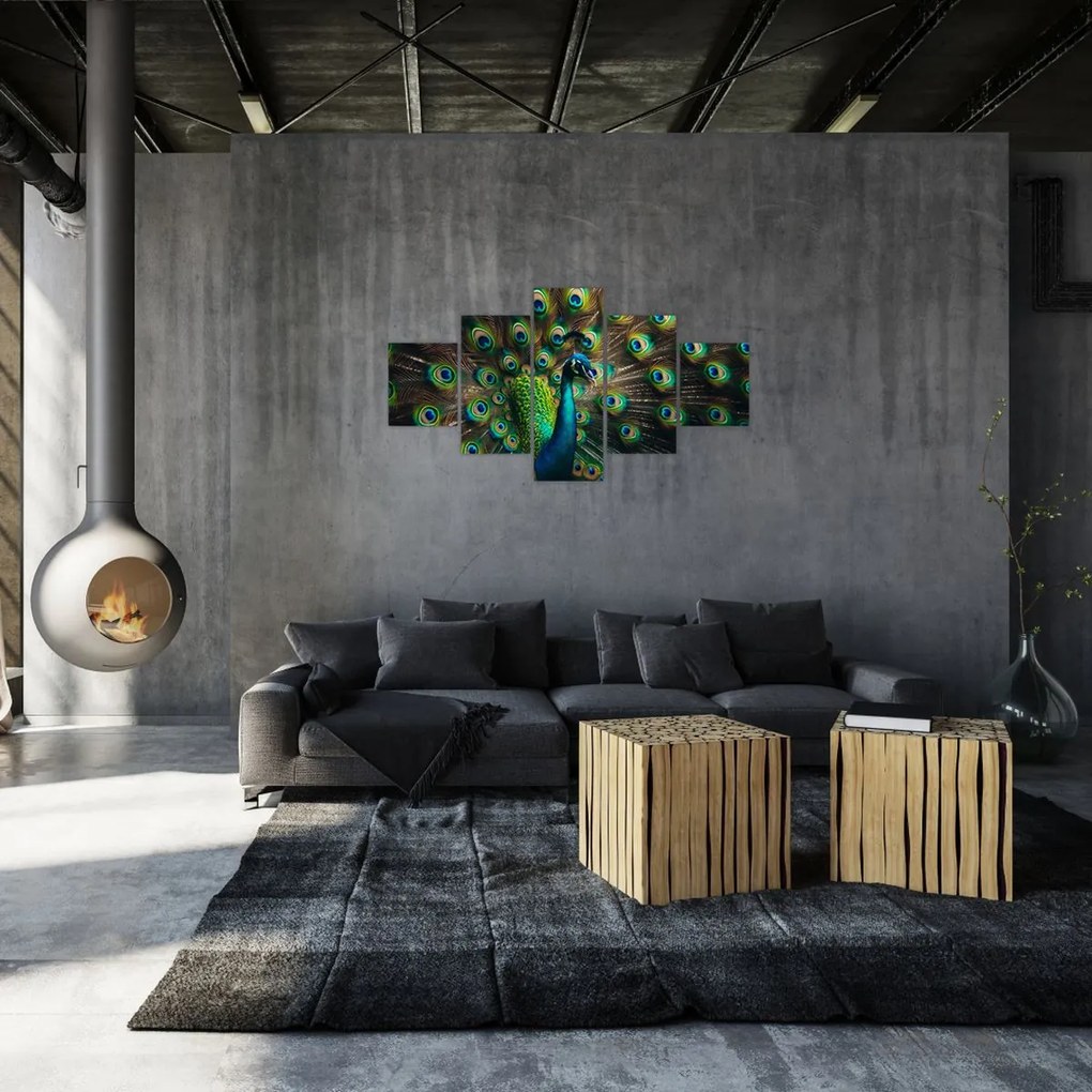 Obraz – Paw (125x70 cm)