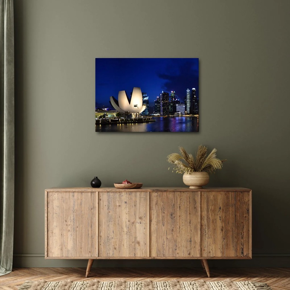 Obraz Singapuru nocą (70x50 cm)