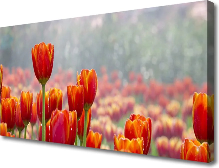 Fotoobraz na płótnie Wiosenny Bukiet Tulipanów