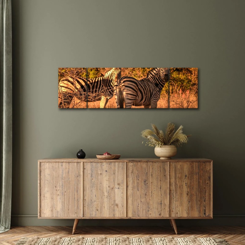 Obraz zebr (170x50 cm)