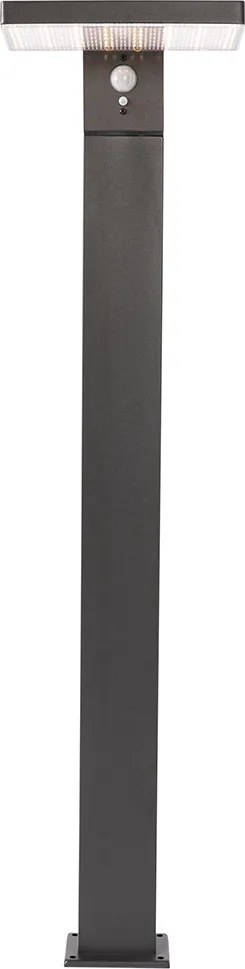 Stojąca lampa ogrodowa ciemnoszara 80 cm z wbudowanym LED i ściemniaczem na energię słoneczną - Sunnie
