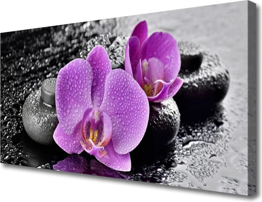 Fotoobraz na płótnie Egzotyczna Orchidea w Gabinecie Spa