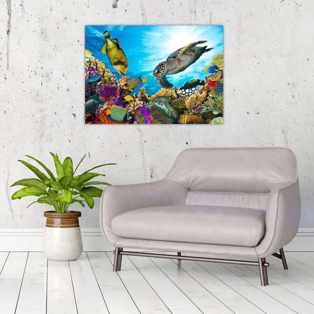 Obraz na szkle rafy koralowej (70x50 cm)