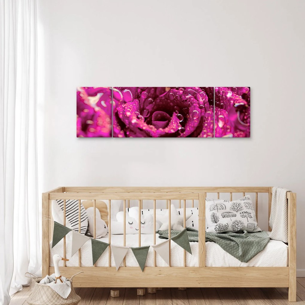 Obraz różowego kwiatu róży (170x50 cm)