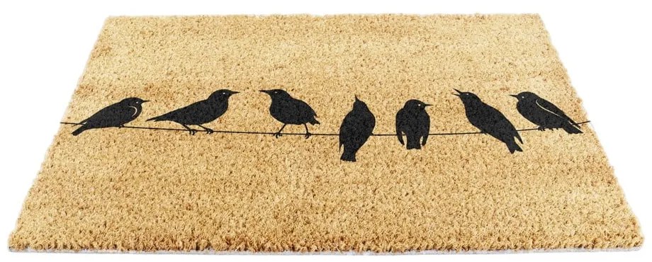 Wycieraczka z włókna kokosowego 40x60 cm Birds On a Wire – Artsy Doormats