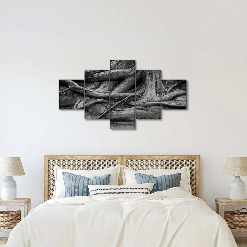 Obraz - Korzenie drzewa (125x70 cm)