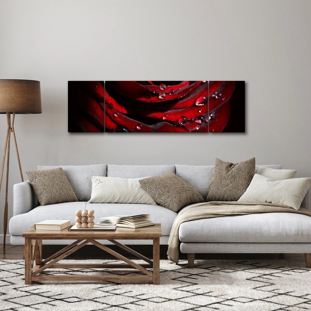 Obraz - Detal róży (170x50 cm)
