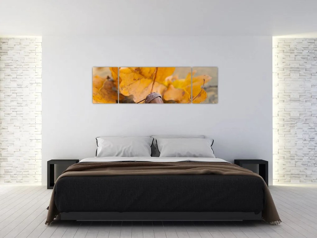 Obraz - Jesienne żołędzie (170x50 cm)