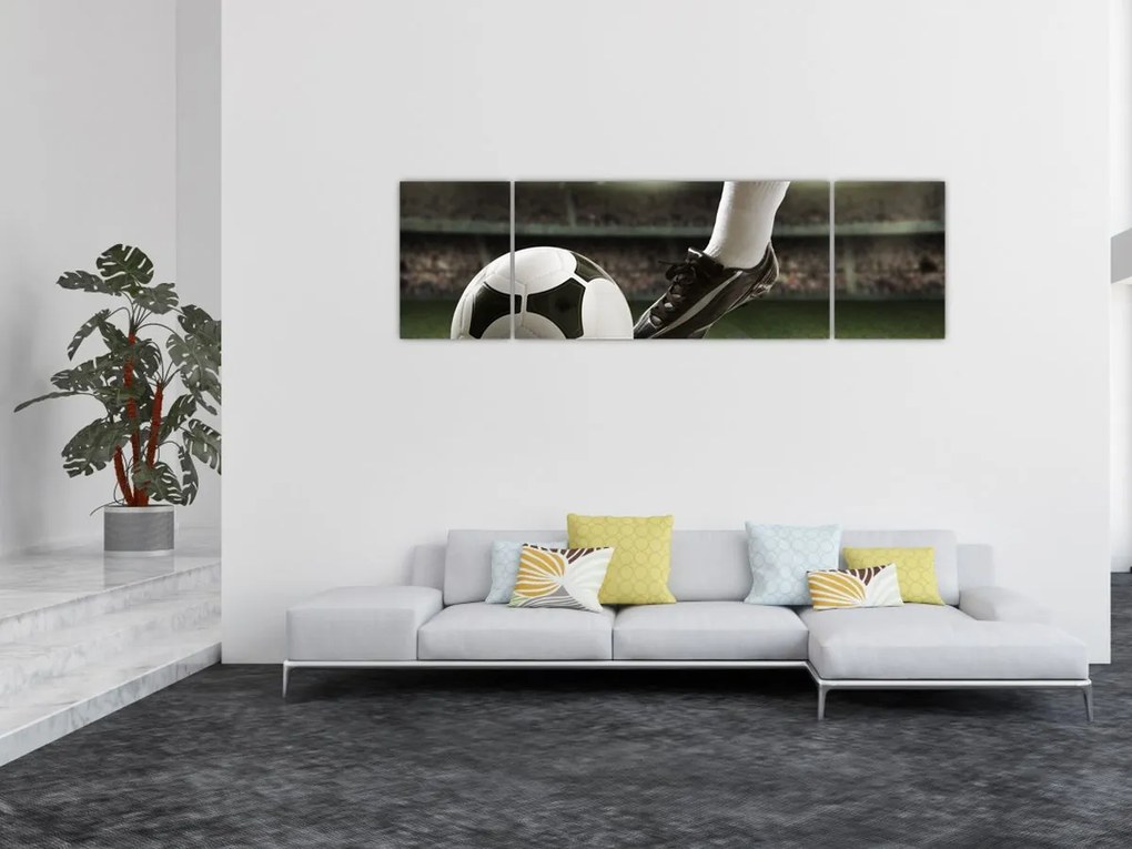 Obraz - Piłka nożna (170x50 cm)
