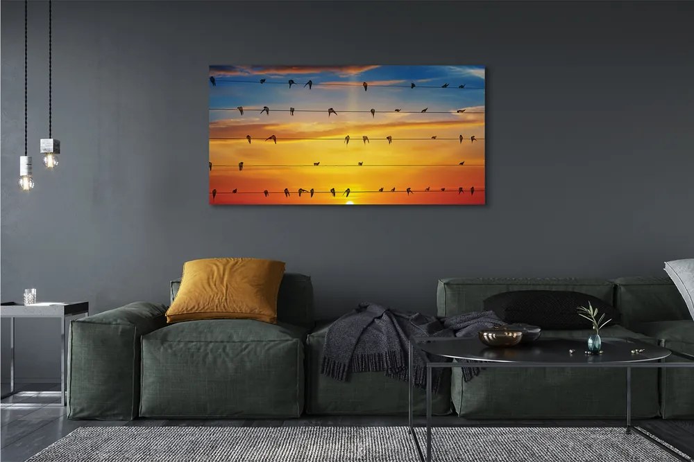 Zdjęcie na płótnie Ptaki na Linach o Zmierzchu
