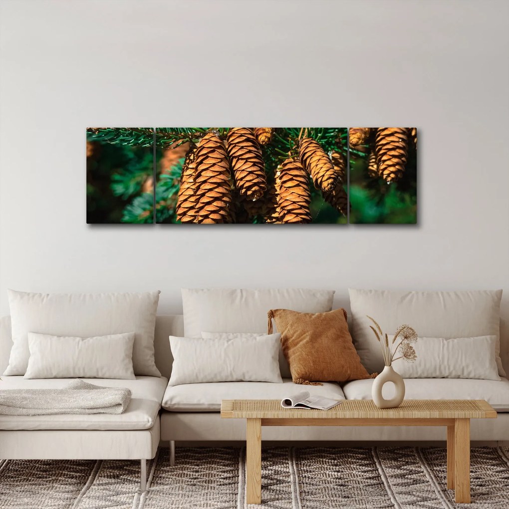 Obraz szyszek (170x50 cm)