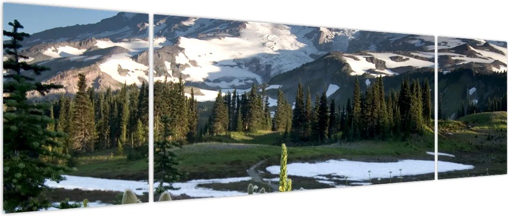 Obraz - Mount Rainier (170x50 cm)