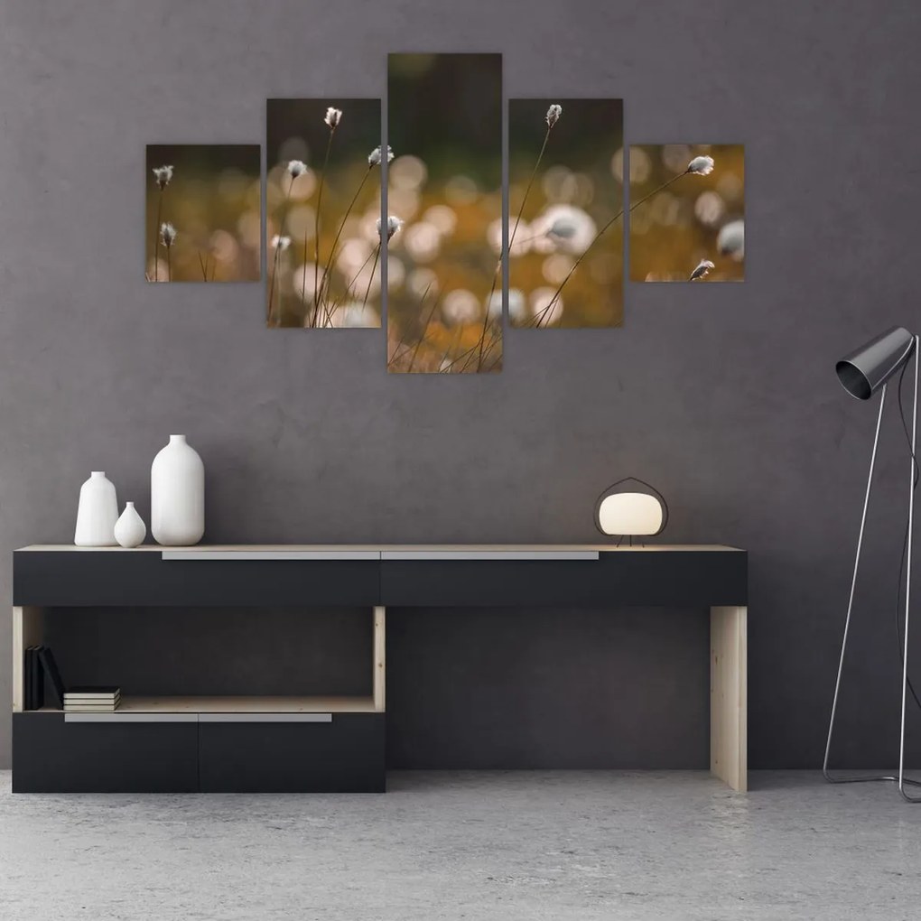 Obraz - Łąka z trawą bawełnianą N⁰2 (125x70 cm)
