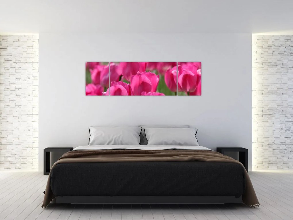 Obraz - Różowe tulipany (170x50 cm)