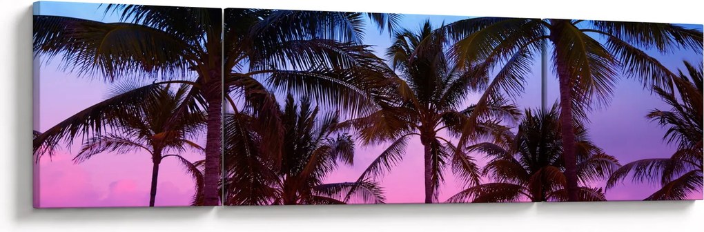 Obraz - Palmy w Miami (170x50 cm)