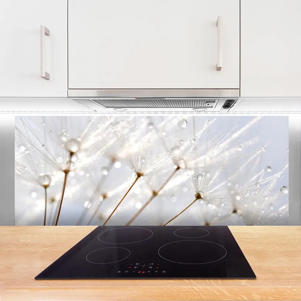 Szkło do Kuchni na Ścianę Puszysty Mniszek Lekarski